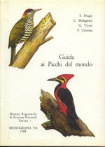 picchi