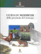 uccmamcr